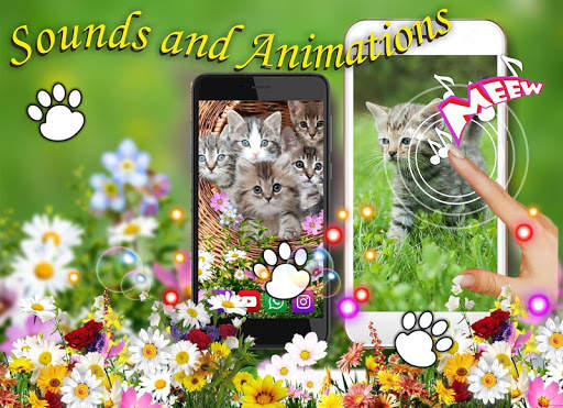 Kittens Lovely LWP screenshot 7