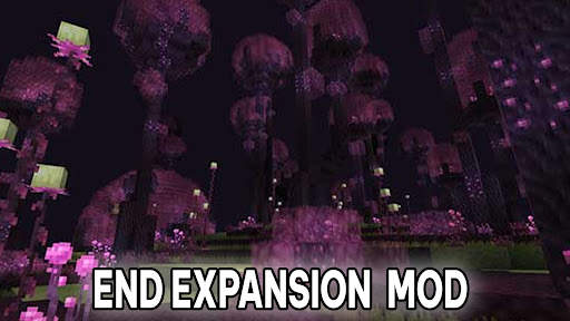 End Expansion Mod Minecraft PE screenshot 3