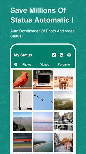 Auto Status Saver & DirectChat screenshot 1