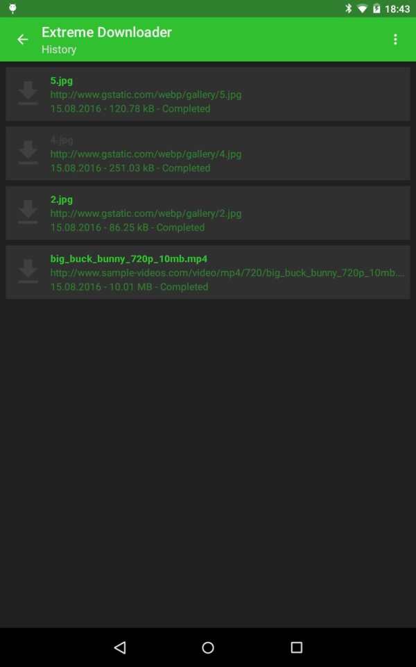 Extreme Downloader screenshot 2