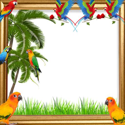 Parrot Insta DP screenshot 2