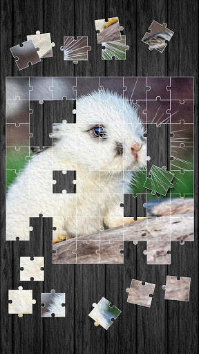 Cute Animals Jigsaw Puzzle screenshot 4
