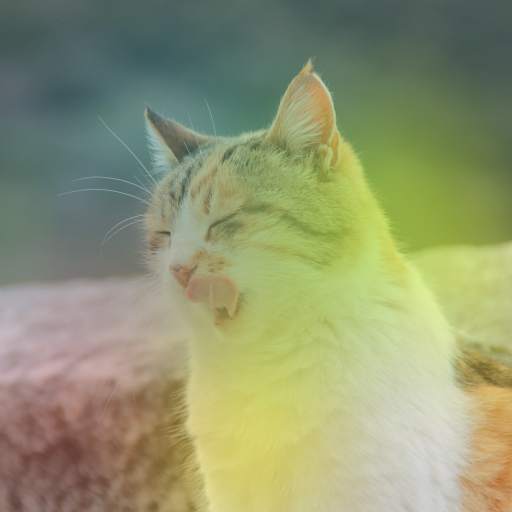 CORA Photo Editor screenshot 5