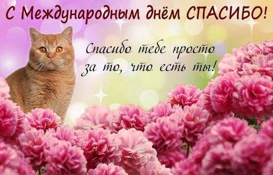 Спасибо - Красивые открытки screenshot 7