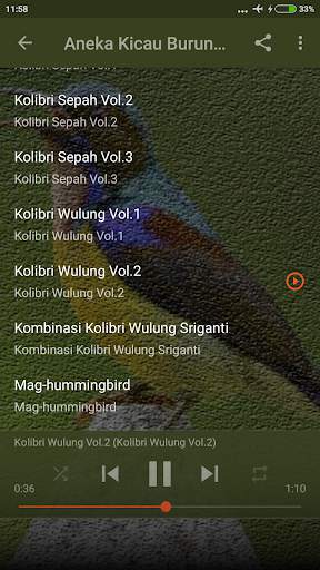 Suara Kolibri Kelapa Gacor screenshot 3