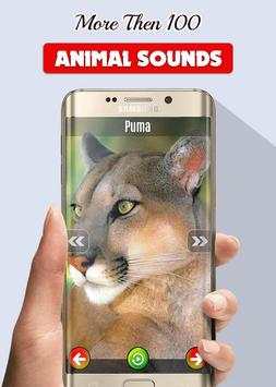 Animals and Birds Sounds screenshot 5