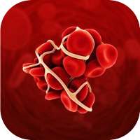 INR calculator on 9Apps