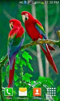 Lovely Birds HD Wallpapers screenshot 2