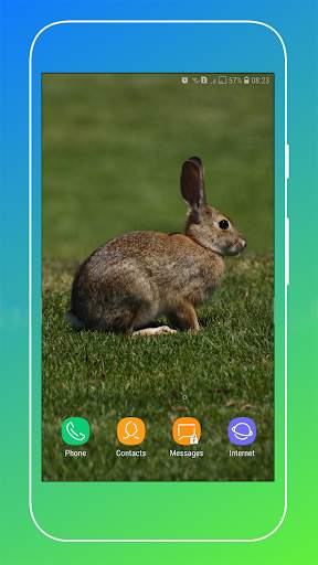 Rabbit Wallpaper screenshot 17