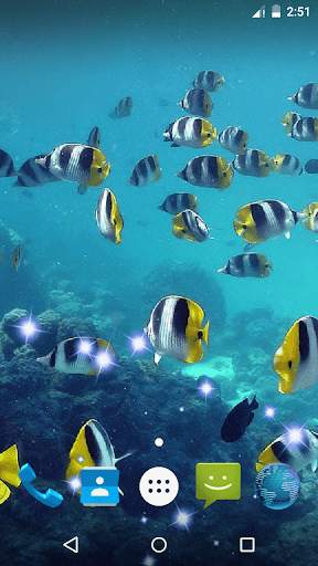 Ocean Fish Live Wallpaper screenshot 1