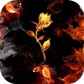 Fiery rose on 9Apps