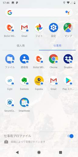 BizGo! MDM screenshot 2