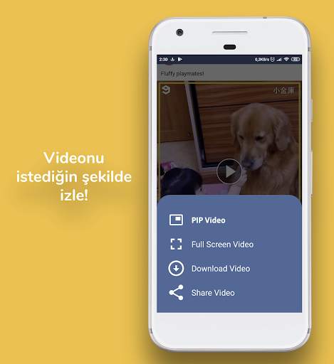 Miniface indirme yöneticisi screenshot 2