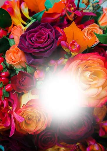 Rose flower photo frames screenshot 3