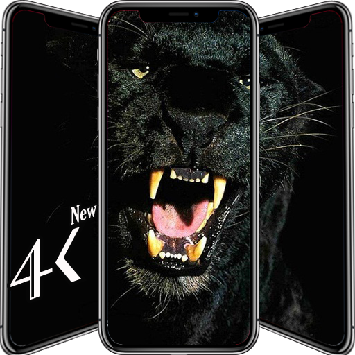 Black Animals Wallpaper أيقونة