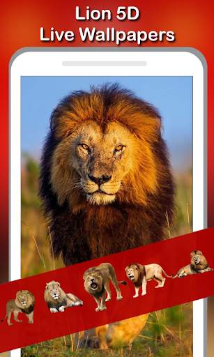5D Lion live wallpaper screenshot 4