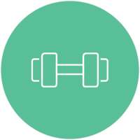 Daily Workout Program