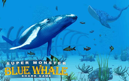 Super Monster Blue Whale Shark Game screenshot 14