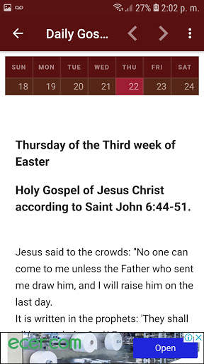Daily Gospel Reflections screenshot 3