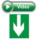 Web Video Download 1.0