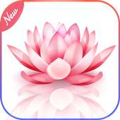Gallery   on 9Apps