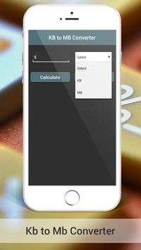 Kb to Mb and Byte Converter screenshot 3
