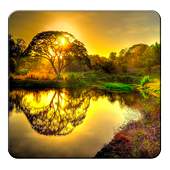 Sunrise Wallpapers 1.0
