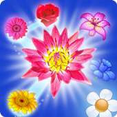 BLOSSOM CRUSH MATCH 3 logo