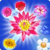 BLOSSOM CRUSH MATCH 3 1.0.0