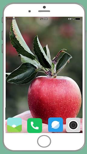Fruit Apple HD Wallpaper screenshot 15