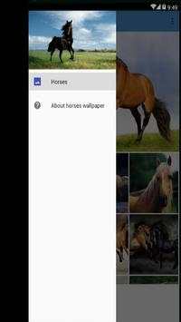Horse Wallpapers 2017 screenshot 1