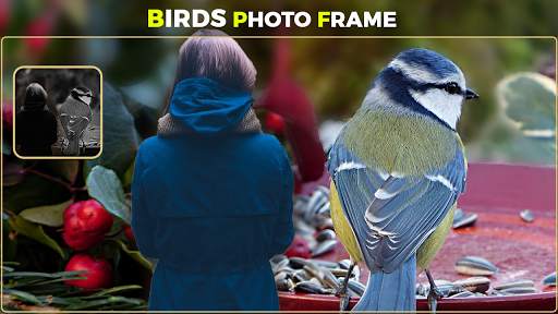 Birds Photo Frames स्क्रीनशॉट 5