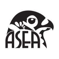 ASEA B2B icon