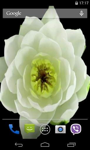 Flowers Video Live Wallpaper screenshot 5