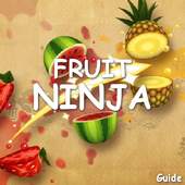 Guide For Fruit Ninja 1.0