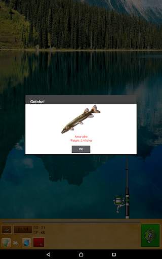 Fishing For Friends screenshot 7