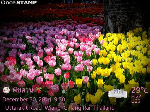 Once Stamp Camera screenshot 7