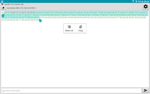 UDP Terminal screenshot 7