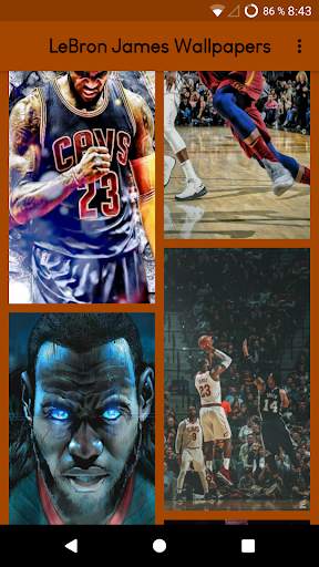 LeBron James Wallpapers screenshot 3