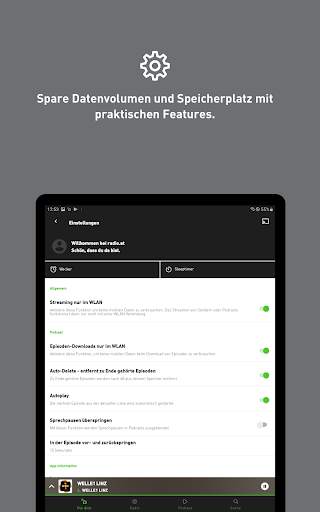 radio.at - Radio und Podcast screenshot 14