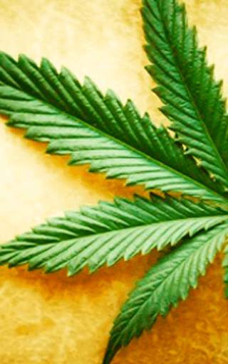 Rasta Weed Live Wallpaper screenshot 3