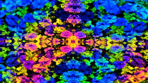 Mystic Nature Music Visualizer screenshot 3
