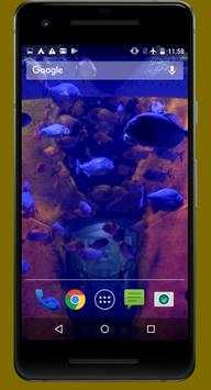 Piranha Live Video Wallpapers screenshot 3