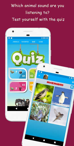 Animal Sounds screenshot 4