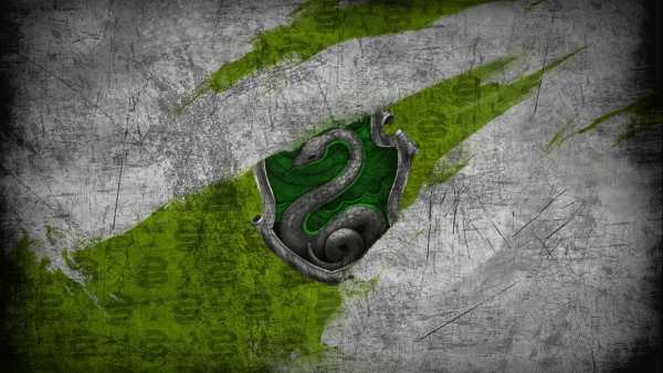 Snake Live Wallpaper - backgrounds hd 7 تصوير الشاشة