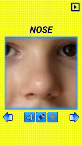 Kids Learning My Body Parts screenshot 11