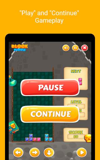 Block Puzzle 2021 screenshot 13