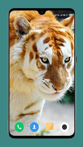 Wild Animal Wallpaper 4K 5 تصوير الشاشة