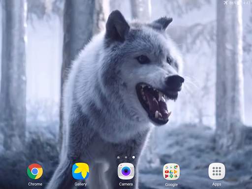 Wolf Video Live Wallpaper screenshot 7