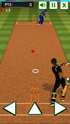 Cricket Batting Challenge screenshot 2